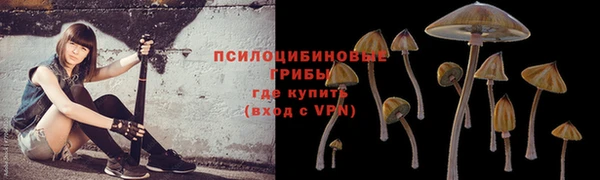 экстази Елизово
