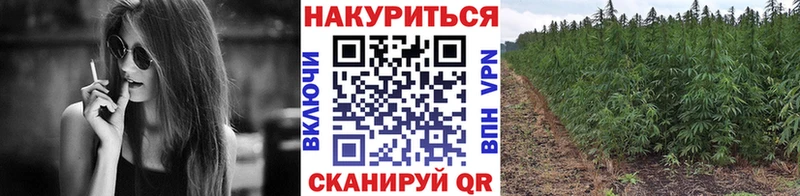 Купить  Североуральск  Конопля сатива 